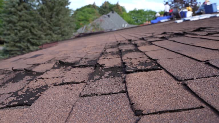 Best Green or Eco-Friendly Roofing Solutions  in Wabash, IN